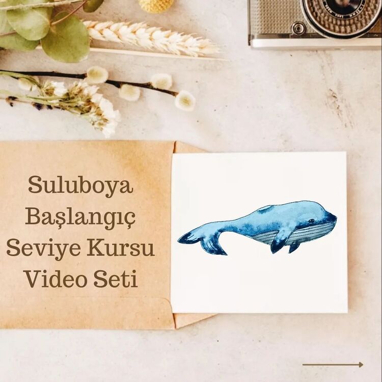 Suluboya Kursu Video Seti Full Set