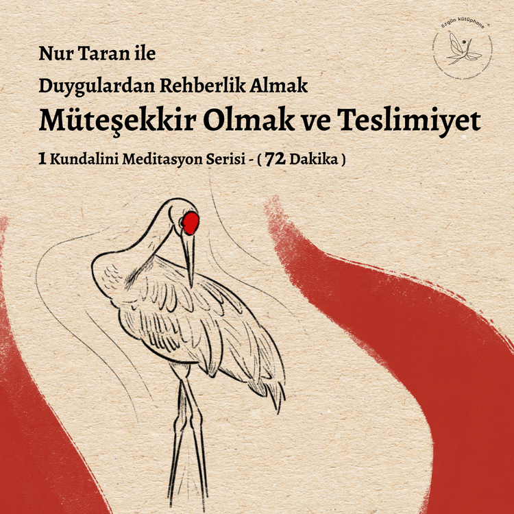 Duygulardan Rehberlik Almak - Müteşekkir Olmak ve Teslimiyet