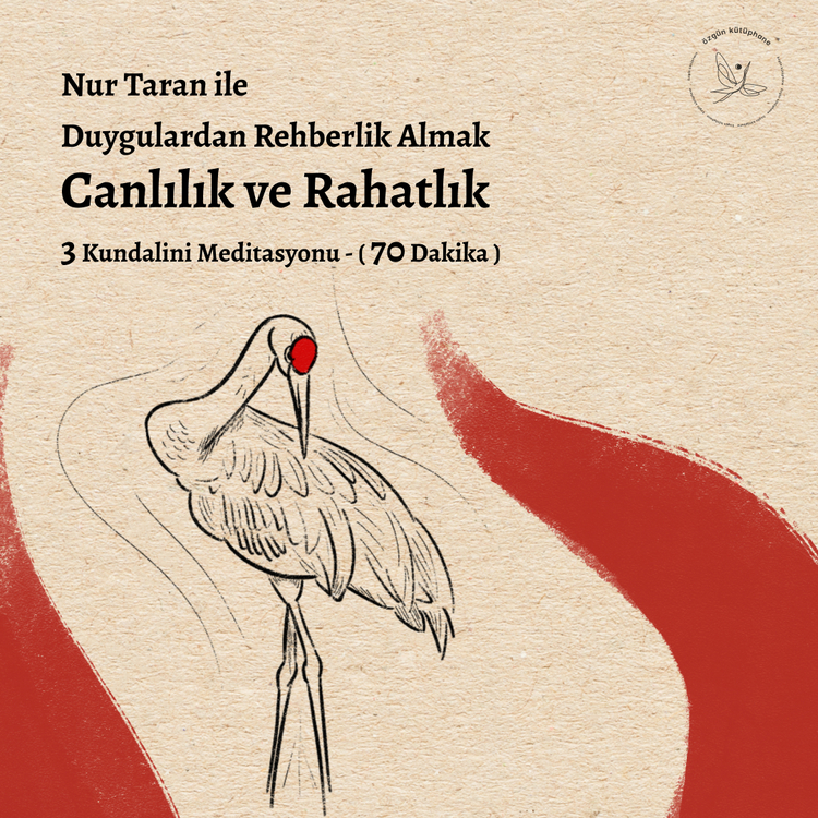 Duygulardan Rehberlik Almak - Canlılık ve Rahatlık