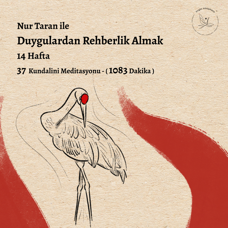 Duygulardan Rehberlik Almak- Tüm Seanslar 