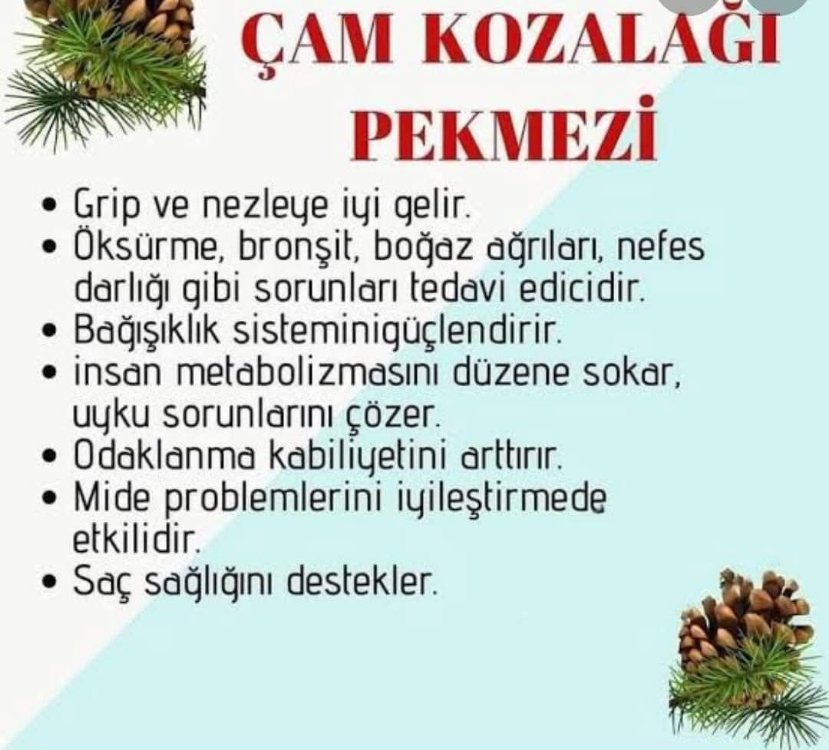KOZALAK PEKMEZİ