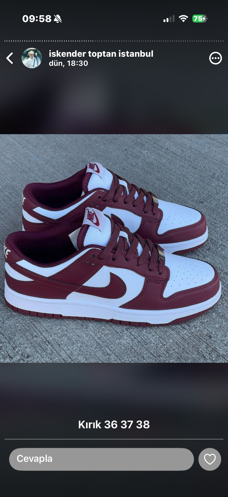 Dunks Sb Bordo