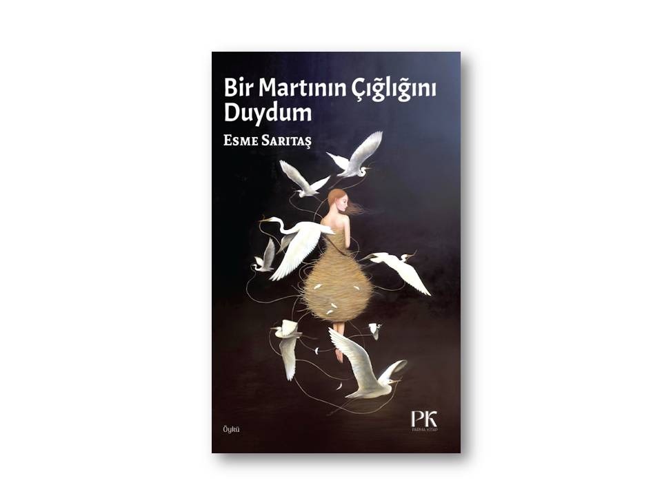Bir Martının Çığlığını Duydum 