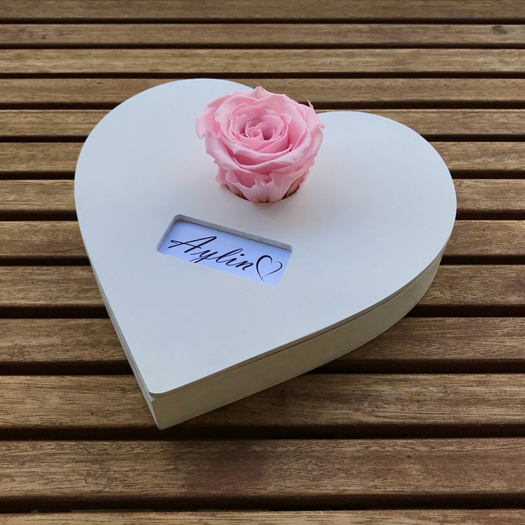 PEMBE SOLMAYAN GÜL – FOREVER KOLEKSİYONU