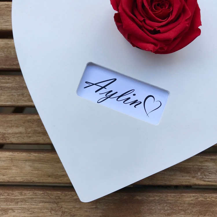 KIRMIZI SOLMAYAN GÜL – FOREVER KOLEKSİYONU