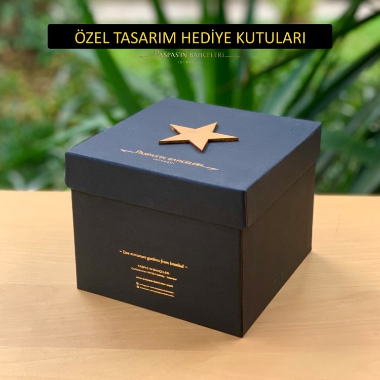 KUZULAR MİNYATÜR BAHÇE – NOVA SERİSİ