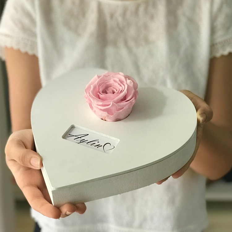 PEMBE SOLMAYAN GÜL – FOREVER KOLEKSİYONU