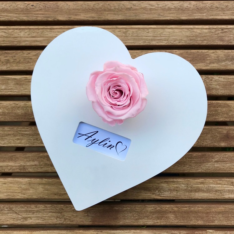 PEMBE SOLMAYAN GÜL – FOREVER KOLEKSİYONU