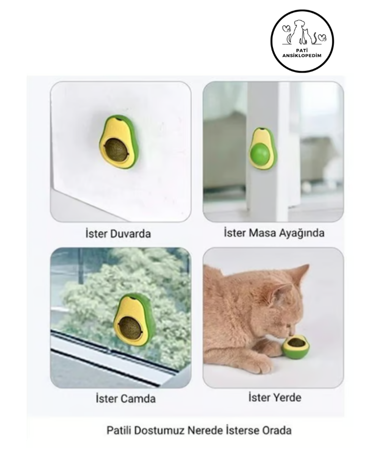 Kedi Catnip Avokado