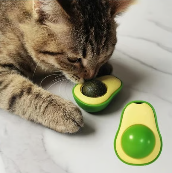 Kedi Catnip Avokado