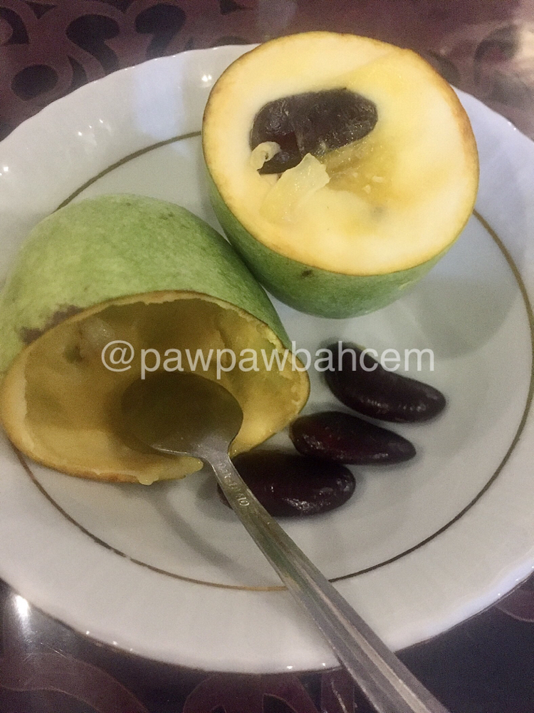 2025  Pawpaw Tohumu 