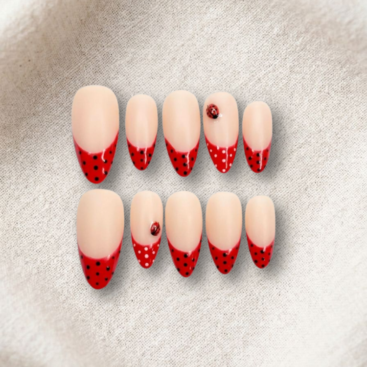 Ladybug