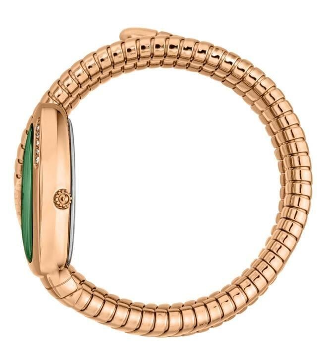 Just Cavalli JC1L230M0055 Kadın Kol Saati