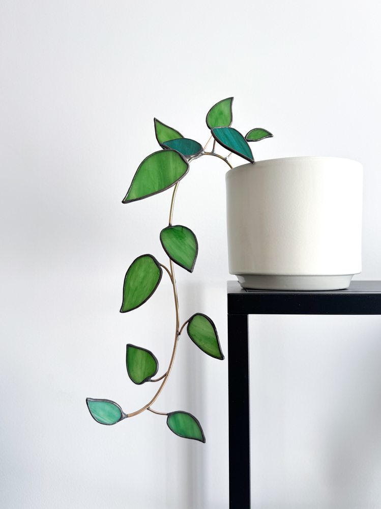 Ivy