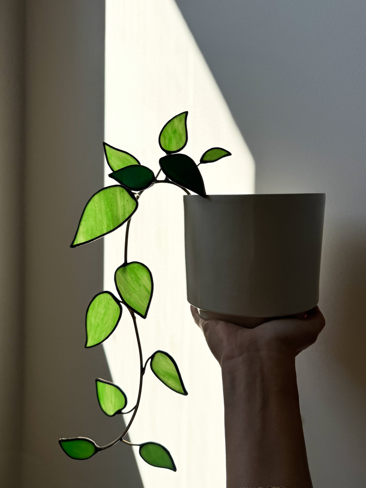 Ivy