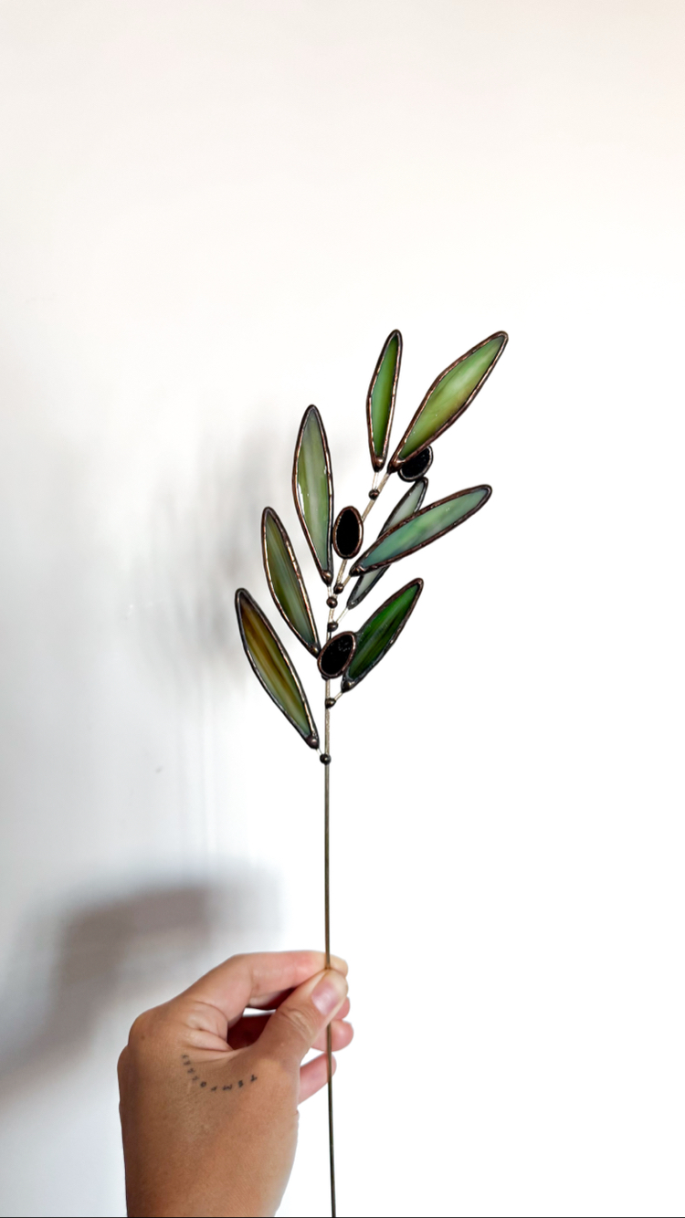 Zeytin Dalı