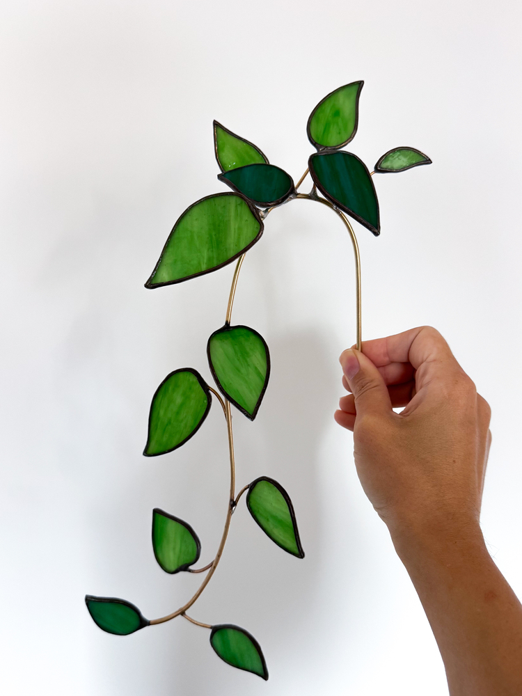 Ivy