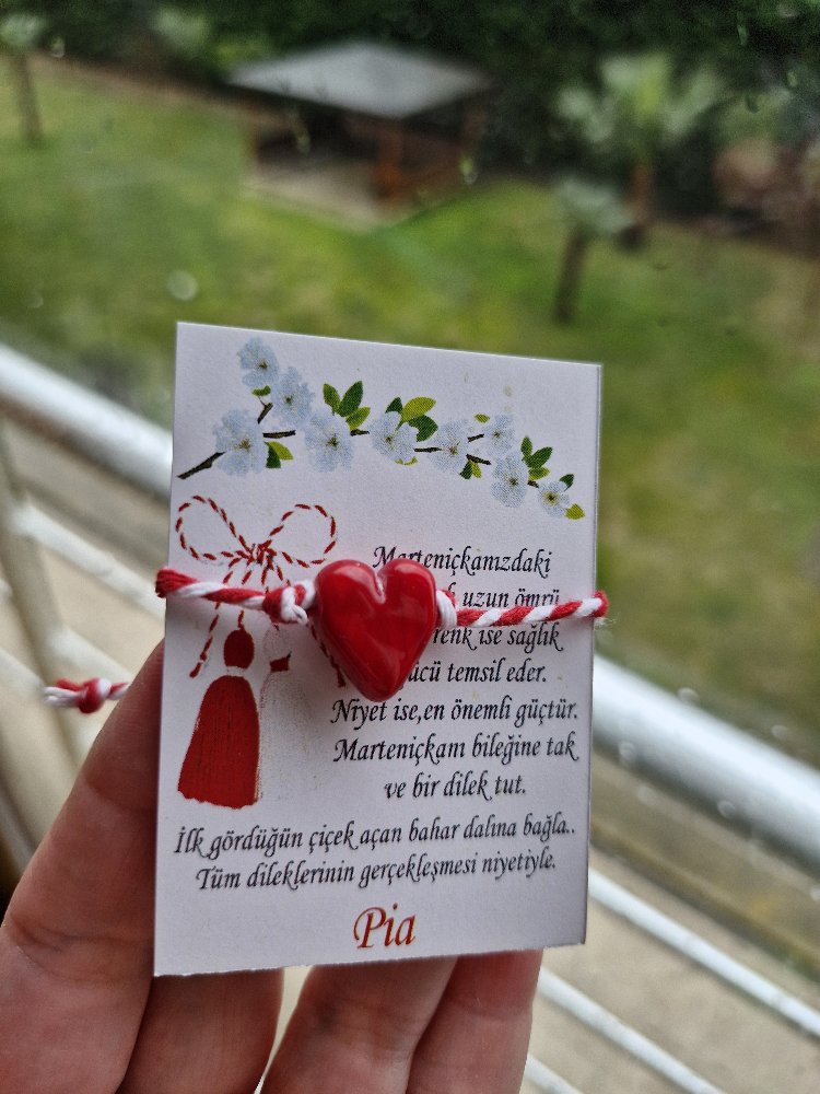 2'li 1️⃣2️⃣Ev Niyeti ile PiaEV ve Marteniçka Set