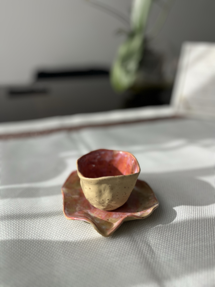 Terra Rose Fincan ve Tabağı
