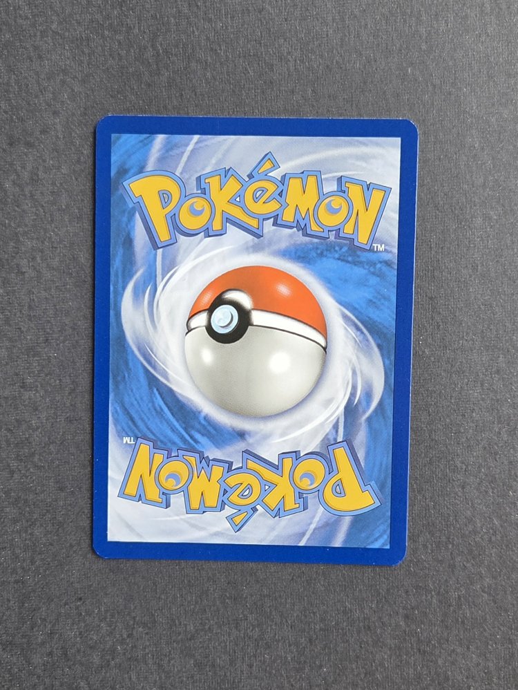 Brock's Training Holo