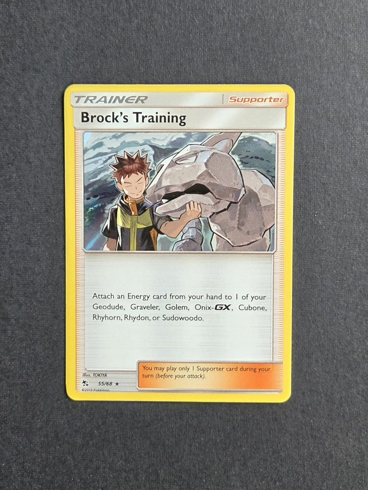 Brock's Training Holo