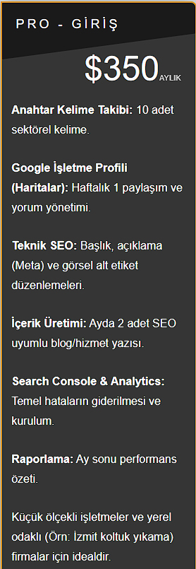 Pro - Giriş