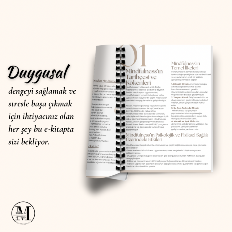 Mindfulness (Bilinçli Farkındalık) E-Kitap