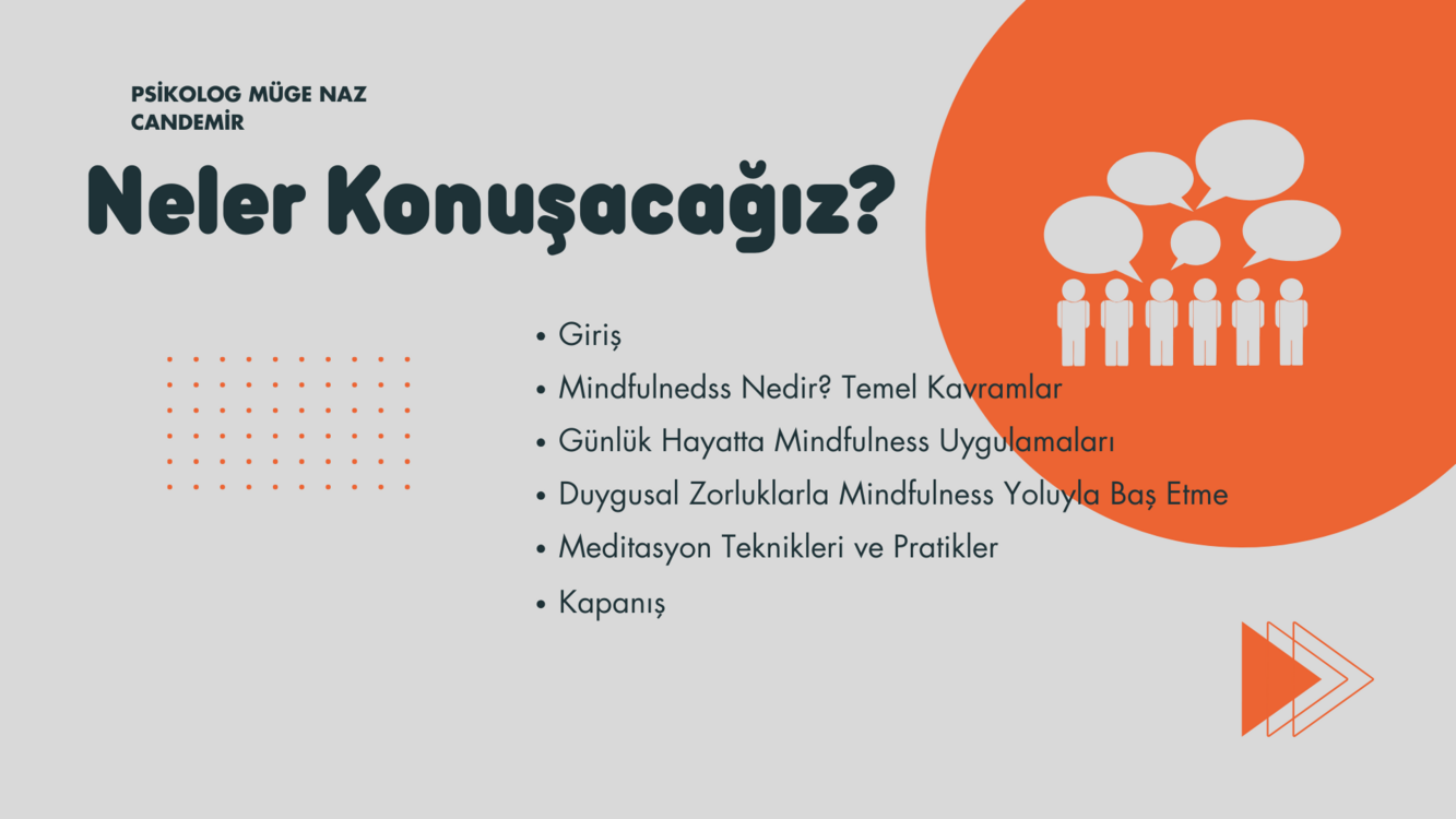Mindfulness (Bilinçli Farkındalık) Online Gelişim Kursu + E-Kitap