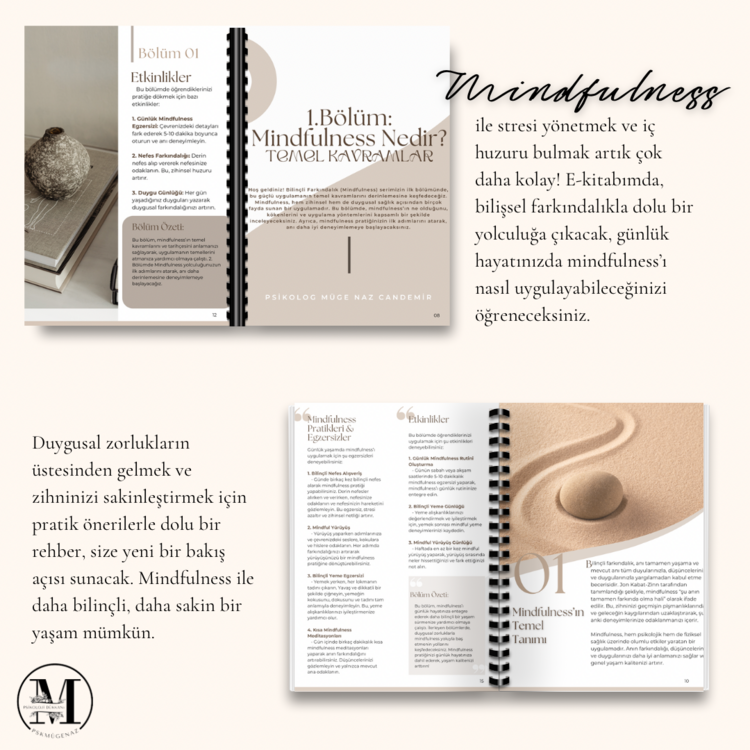 Mindfulness (Bilinçli Farkındalık) E-Kitap