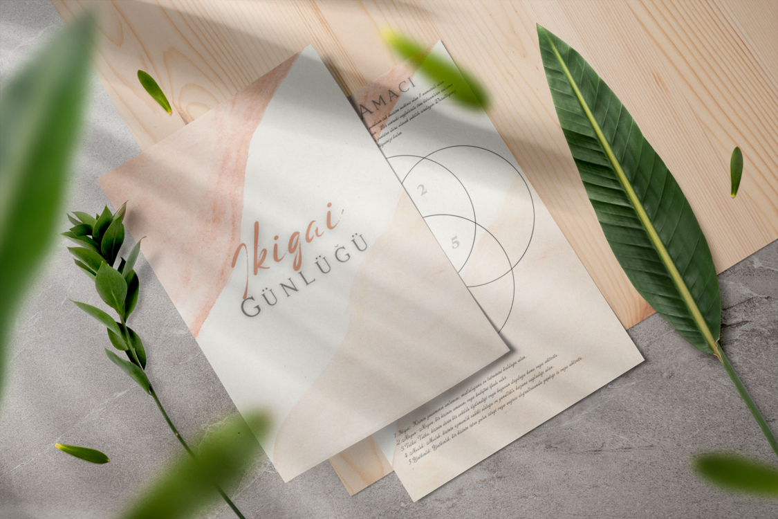 Mindfulness Rehberi - Farkındalık Günlüğü