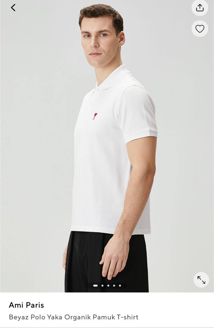 Amı Polo