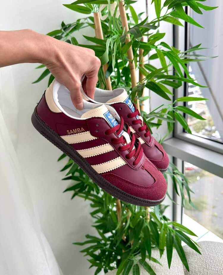 Samba bordo