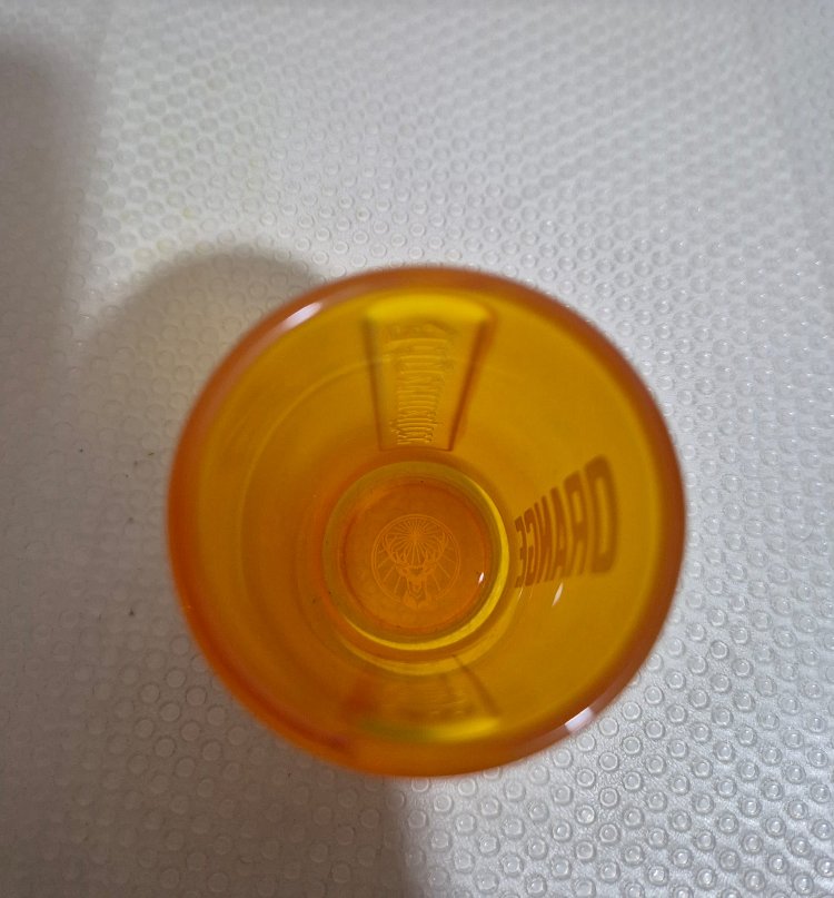 JÄGERMEISTER ORANGE BUZLU SHOT BARDAĞI 2 cl