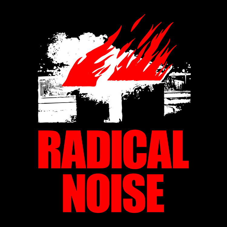 Radical Noise - Gölge Siyah T-Shirt
