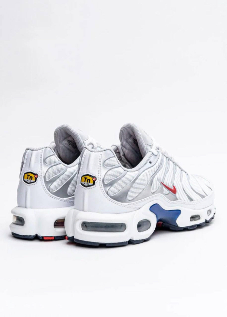 Air Max Plus Euro Tour