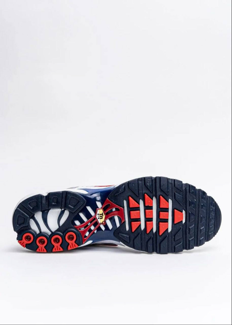 Air Max Plus Euro Tour