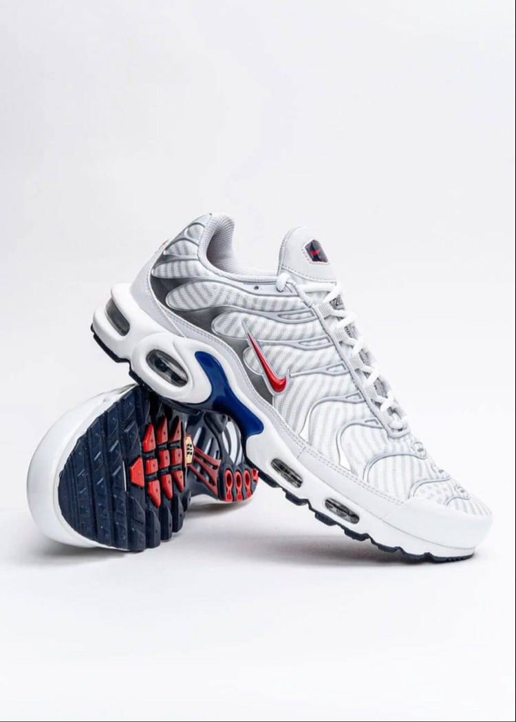 Air Max Plus Euro Tour