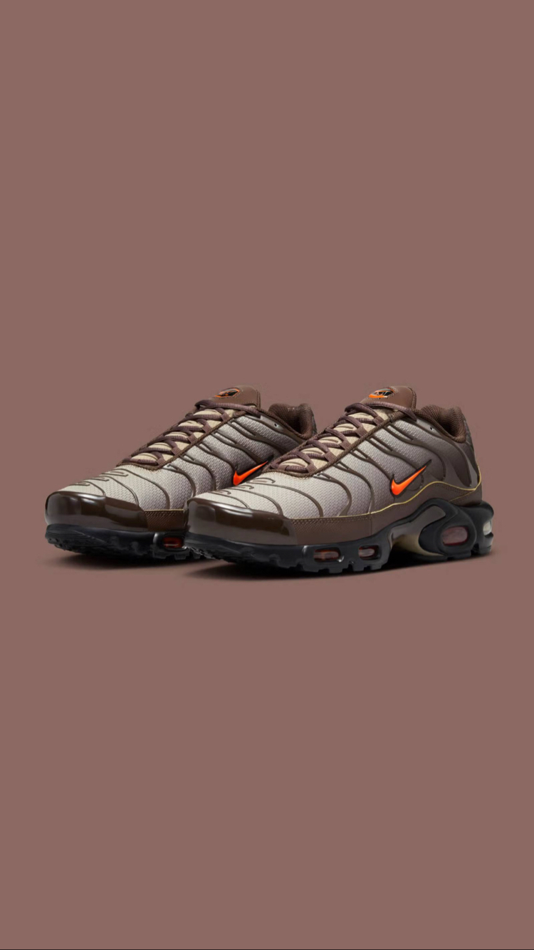Nike Air Max Plus “ Baroque Brown “
