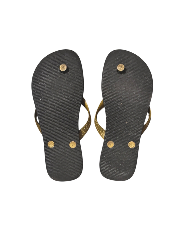Havaianas flip flops