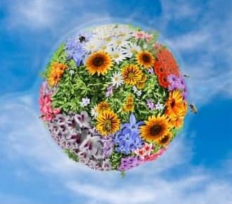 Reiki ile Mekan Enerjisi Temizliği Çalışması