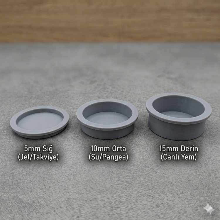 Gecko Feeding Station (Ledge + 3 Bowl Depths)