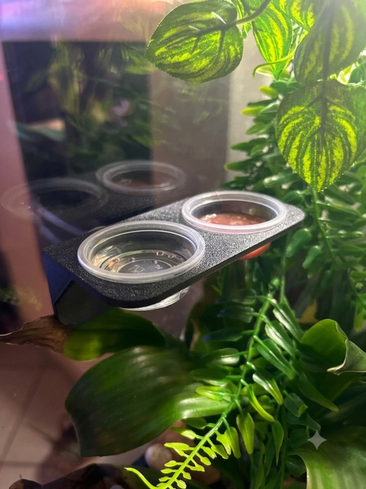 Reptile Feeding Ledge
