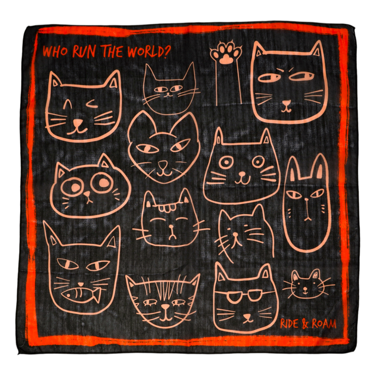 Cats Bandana