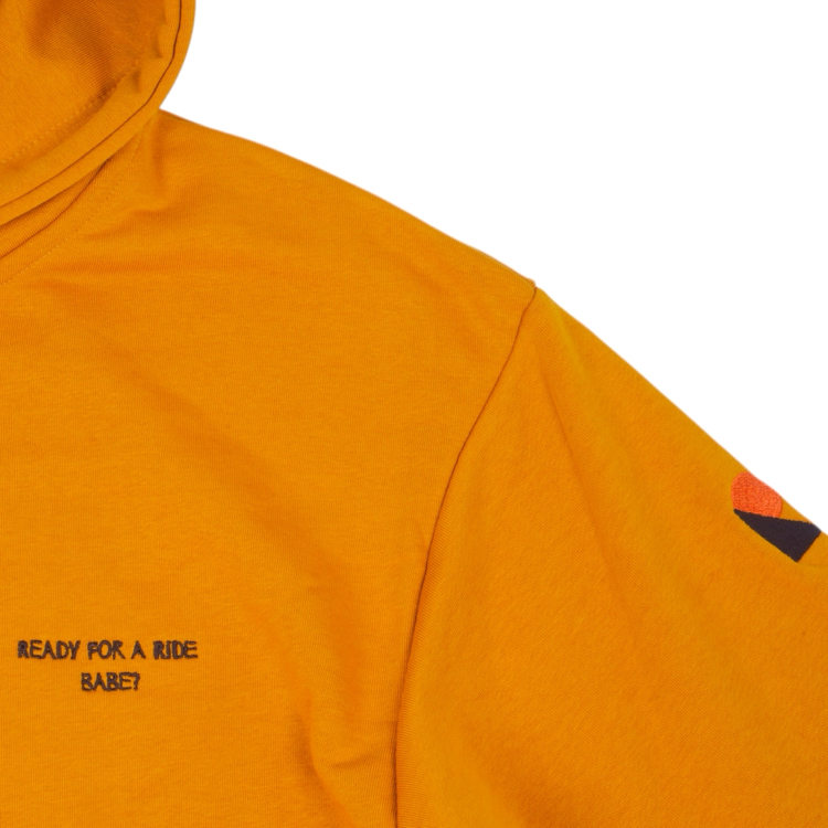 Team Riders Hoodie / Hardal