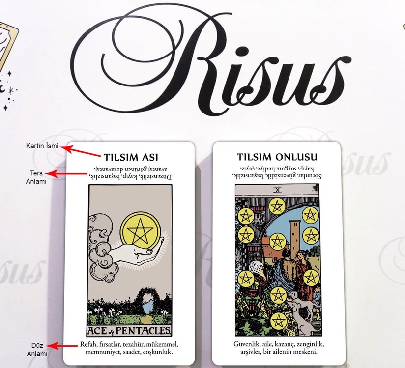 Başlangıç Tarot Destesi