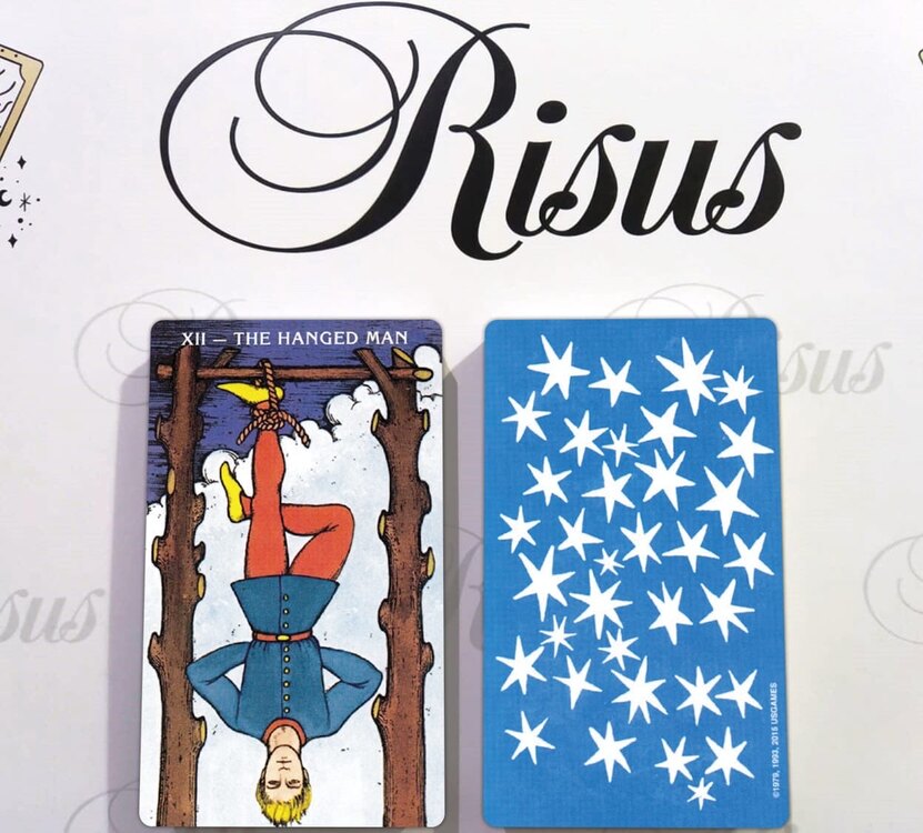 Morgan Greer Tarot Destesi