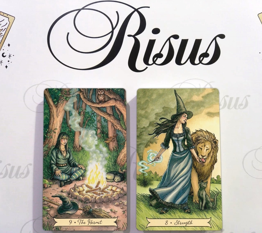 Everyday Witch Tarot Destesi