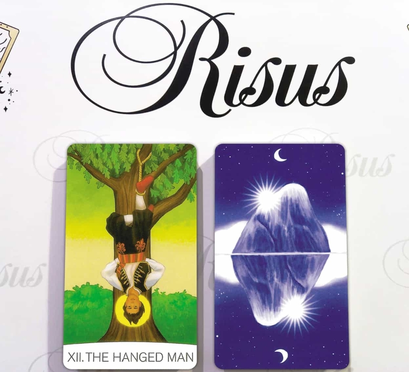 The One World Tarot Destesi