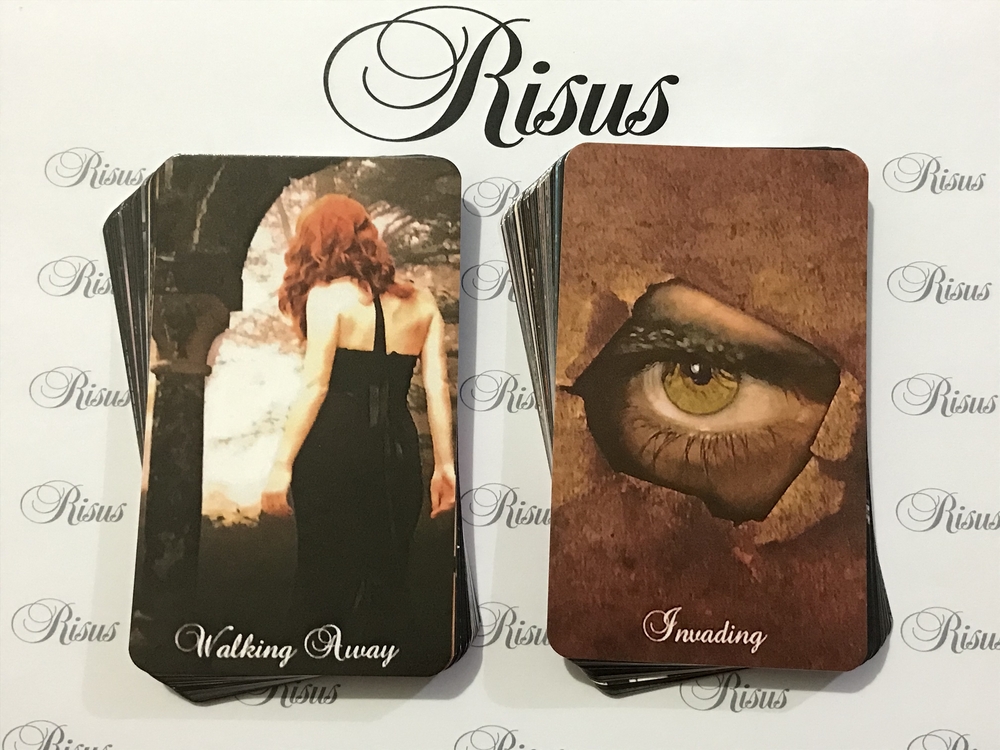 Twin Flame Shadows Oracle Destesi