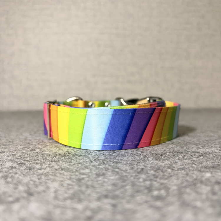 Rainbow Boyun Tasması